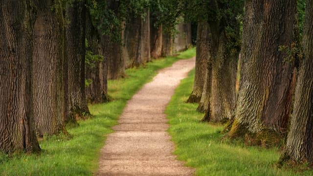 Программа Pathway 